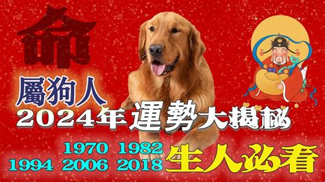 1970年屬狗|生肖狗: 性格，愛情，2024運勢，生肖1994，2006，2018